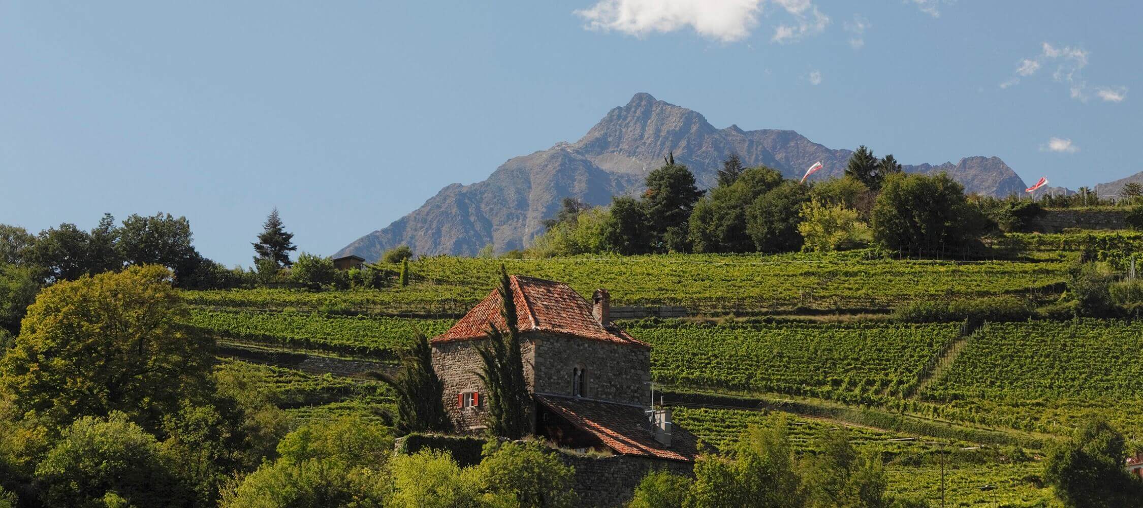 Italien-Trentino_Suedtirol_Alto_Adige_Merano_Meran_Besichtigen_Natur_Promenade_Panorama_Zenoburg_Sommer_Spring_mgm00029frbl_2250x1000