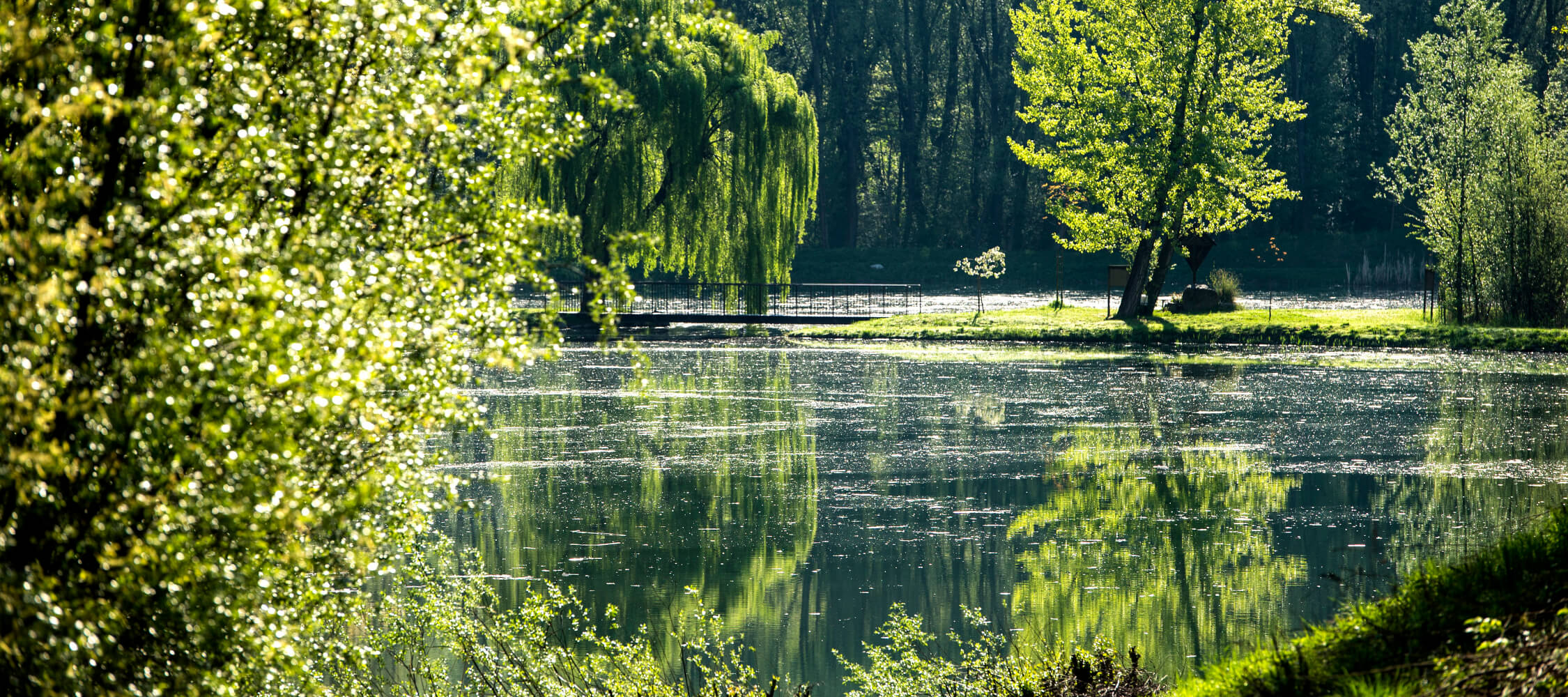 Italien-Trentino_Suedtirol_Alto_Adige_Merano_Meran_Natur_Sommer_Laufen_Joggen_Passer_Lazag-mgm00784heri_2250x1000