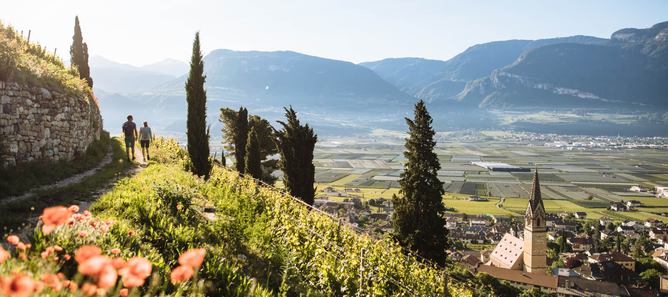 Italien-Trentino_Suedtirol_Alto_Adige_Merano_Meran_Natur_Sport_Sommer_Wandern_Berg_Panorama_BenjaminPfitscher_idm06945bepf_2250x1000