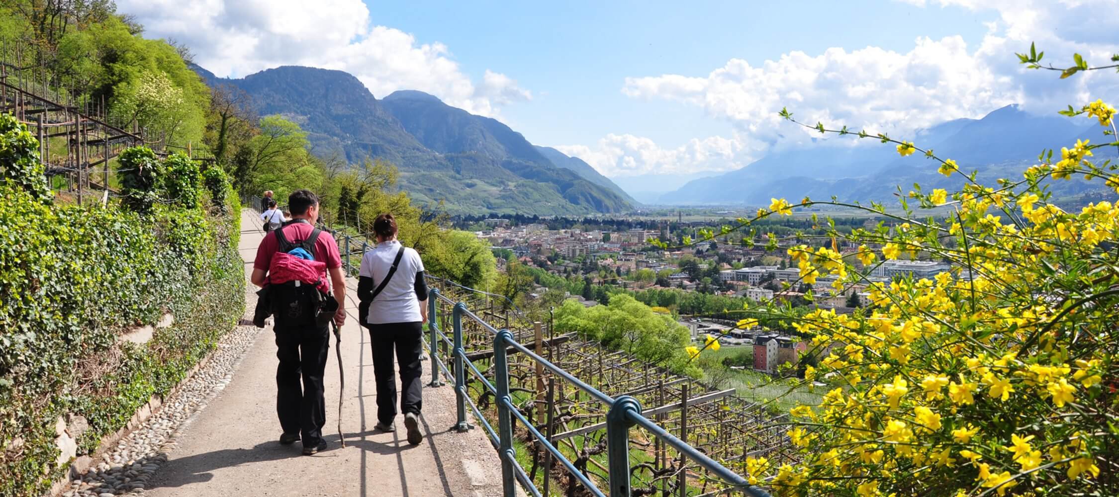 Italien-Trentino_Suedtirol_Alto_Adige_Merano_Meran_Natur_Tappeinerweg_Panorama_Sport_Wandern_Spazieren_Joggen_40990948_2250x1000