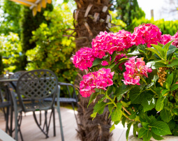 Hotel-Villa-Laurus-Merano-Garten-Terrasse-Detail-Anguane-6821-255x202