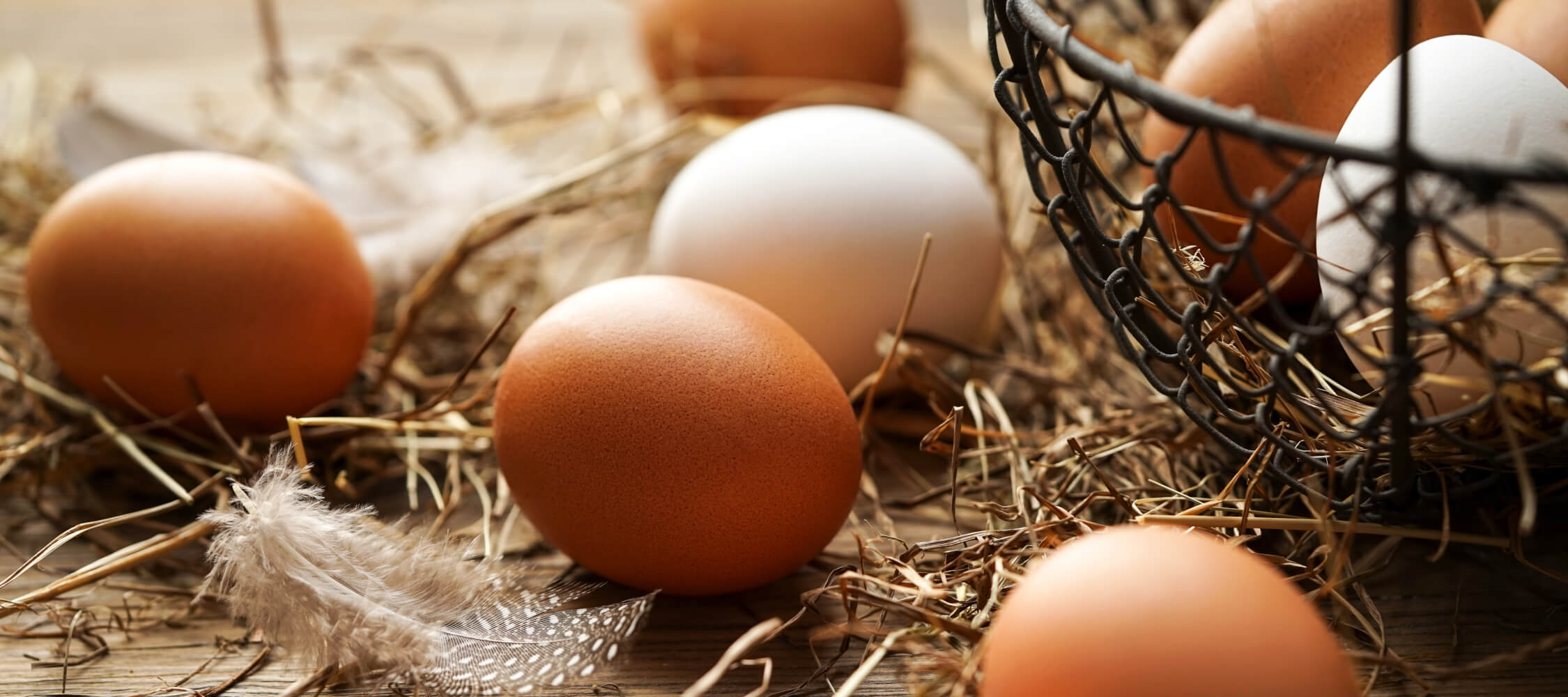 P&H_Family_Meran_City_Hotel_Merano_Hotel_Flora_Restaurant_Breakfast_Buffet_Fruehstueck_Essen_Eier_194476336_2250x1000