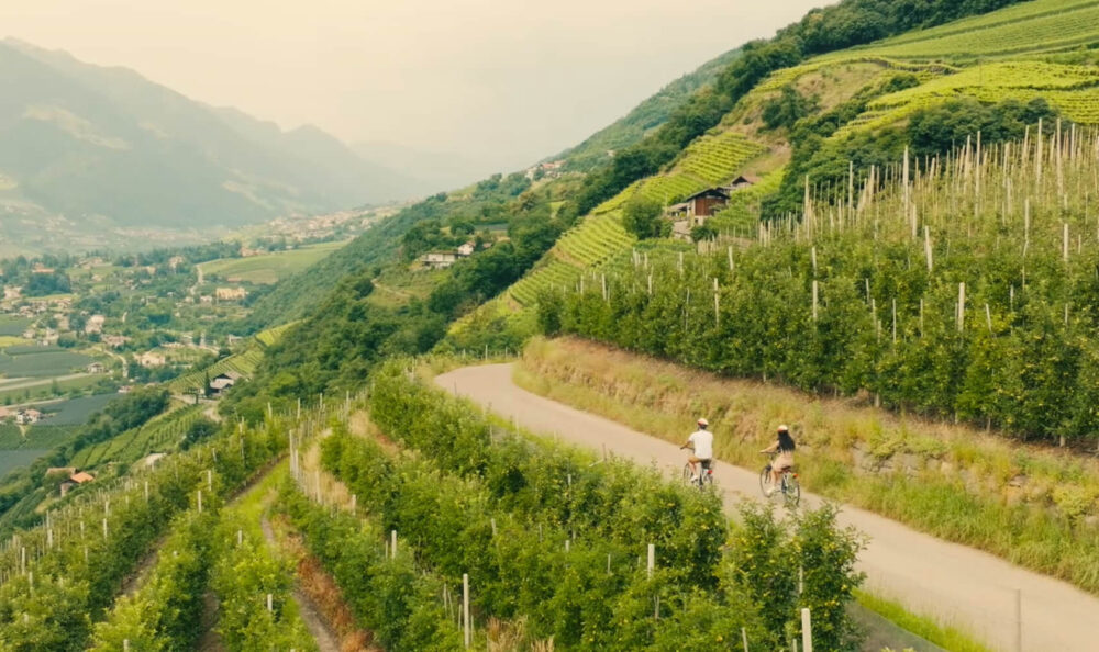 Durch Südtirol mit dem Fahrrad
