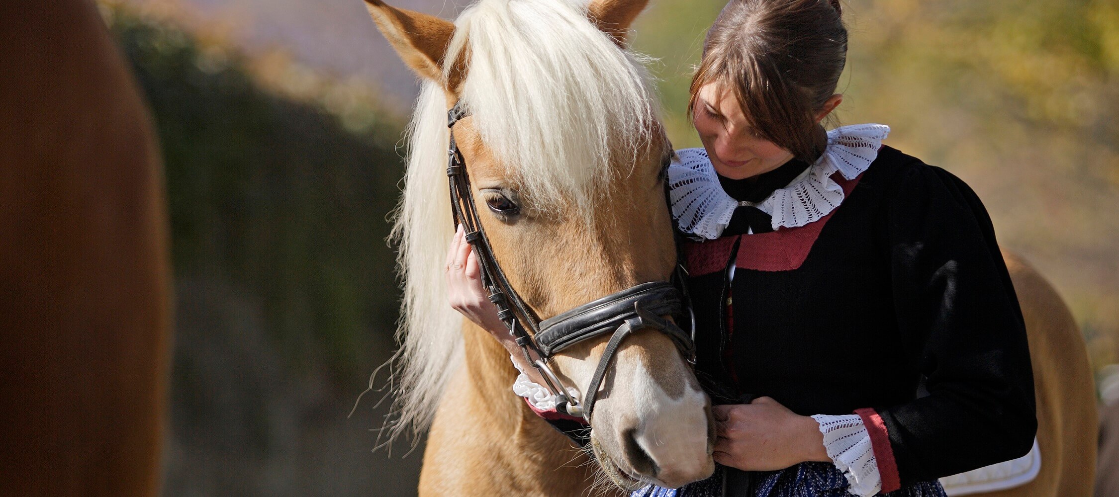 Italien_Trentino_Suedirol_Alto_Adige_Merano_Meran_Natur_Sport_Reiten_Pferd_MGM-Frieder-Blickle_mgm00330frbl_2250x1000