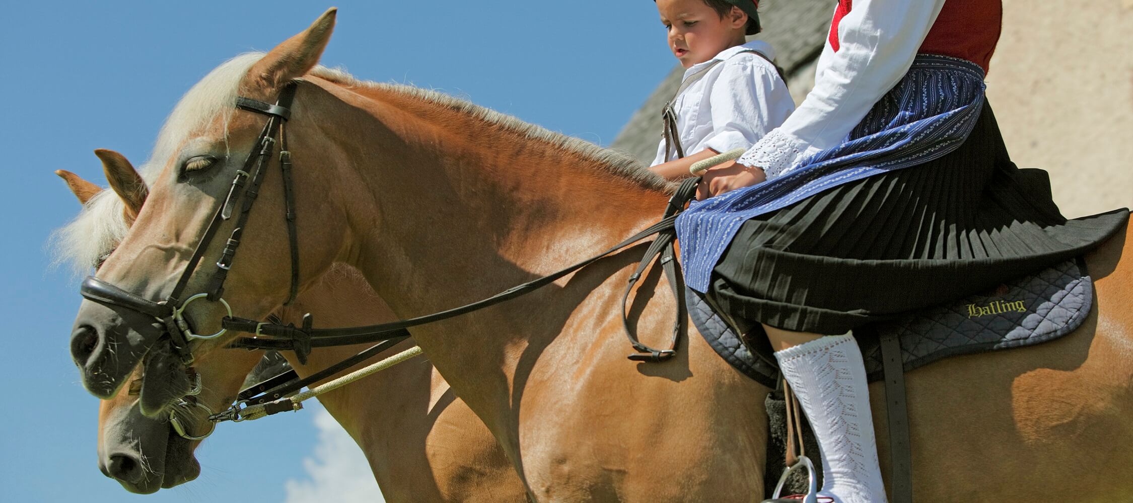 Italien_Trentino_Suedirol_Alto_Adige_Merano_Meran_Natur_Sport_Reiten_Pferd_MGM-Frieder-Blickle_mgm00498frbl_2250x1000